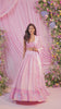 Rose Powder-Pink Embroidered Lehenga Set